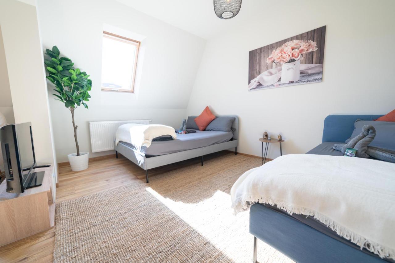Fullhouse - Zwickau - F45 Apartments - Smarttv - Nespresso Ngoại thất bức ảnh